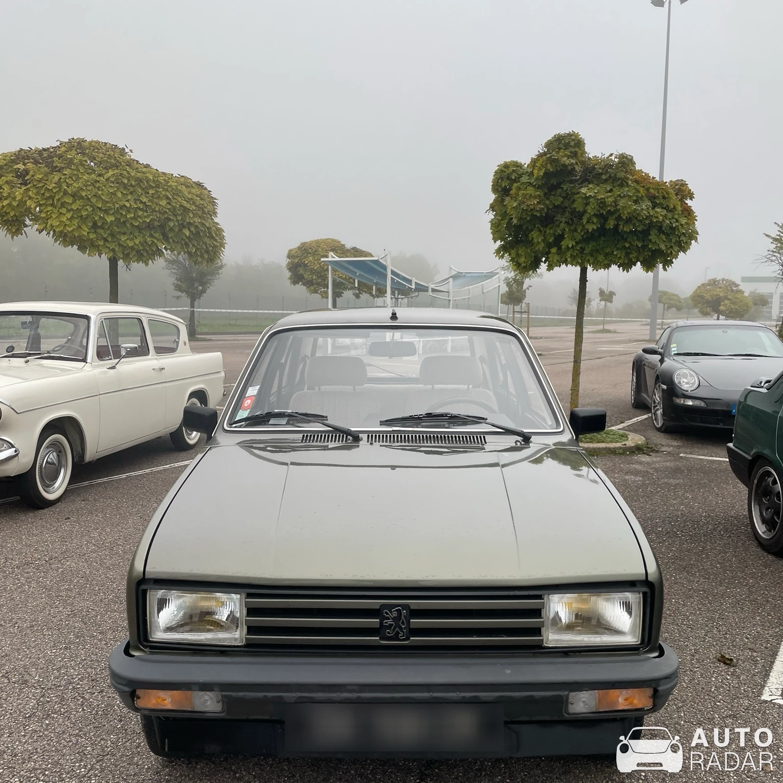 Peugeot 305 spotted in Dommartin-lès-Toul