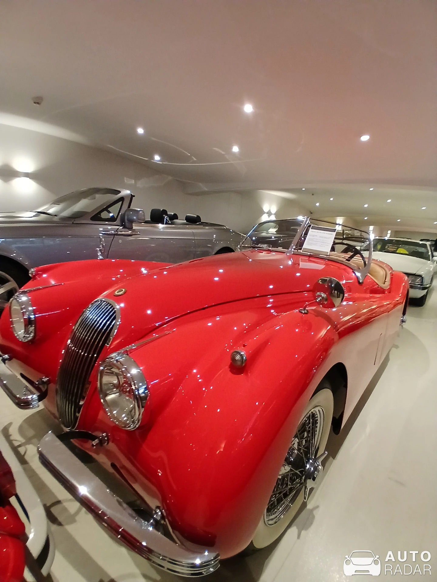 Jaguar XK120 Roadster spotted in Brummen, Netherlands