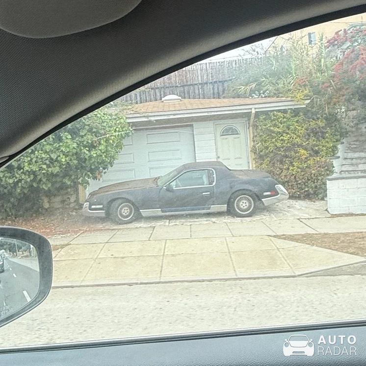 Zimmer Quicksilver spotted in Los Angeles