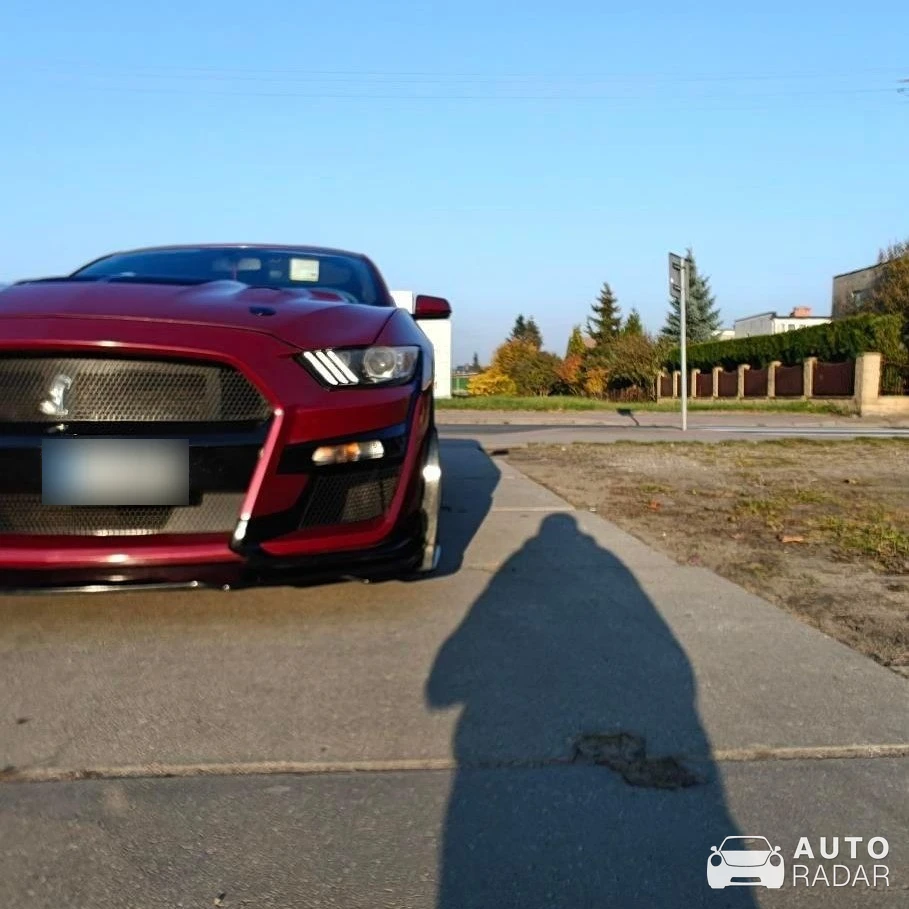 Ford Mustang Shelby GT500 spotted in Człuchów, Poland