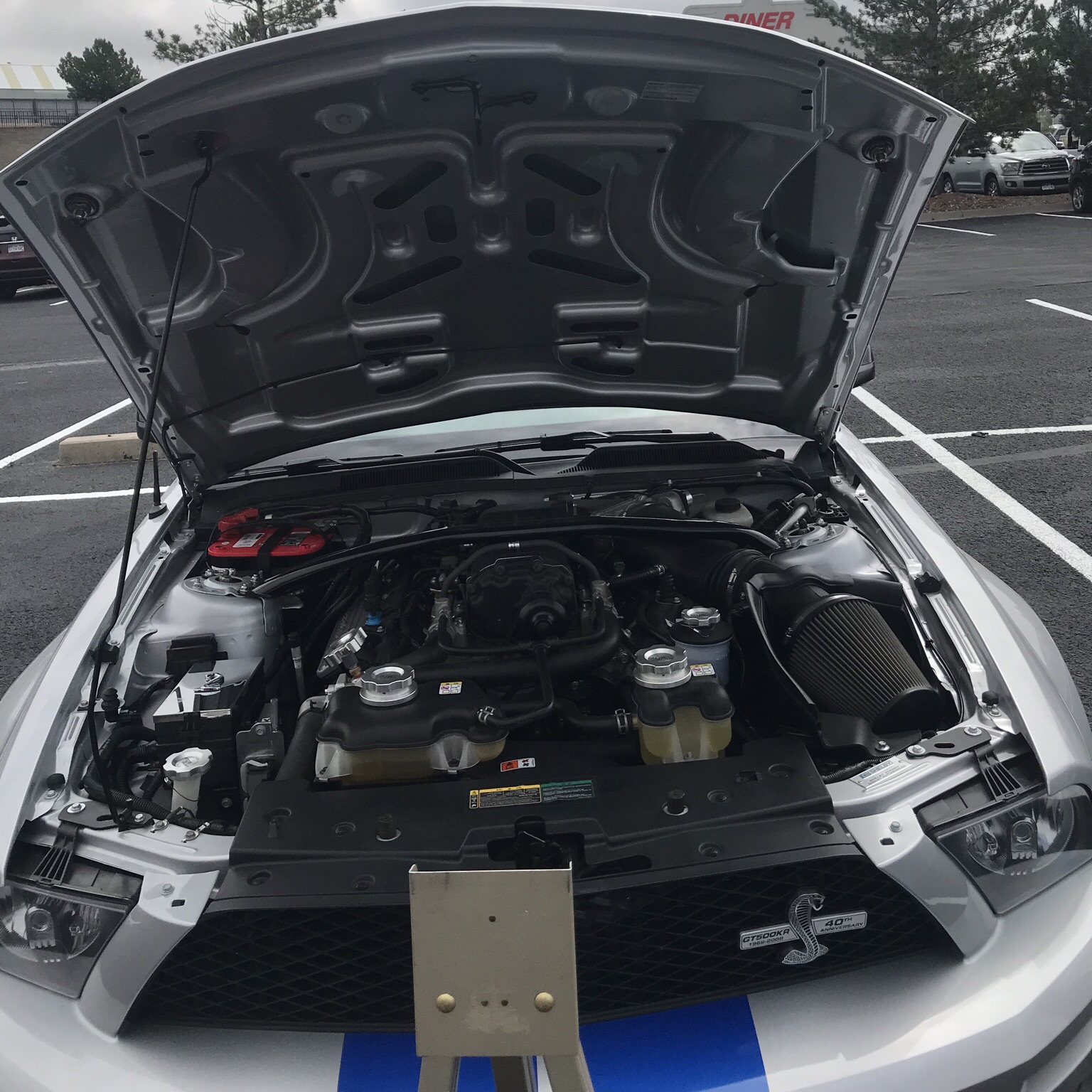 Ford Mustang Shelby GT500 Super Snake 40th Anniversary Edition