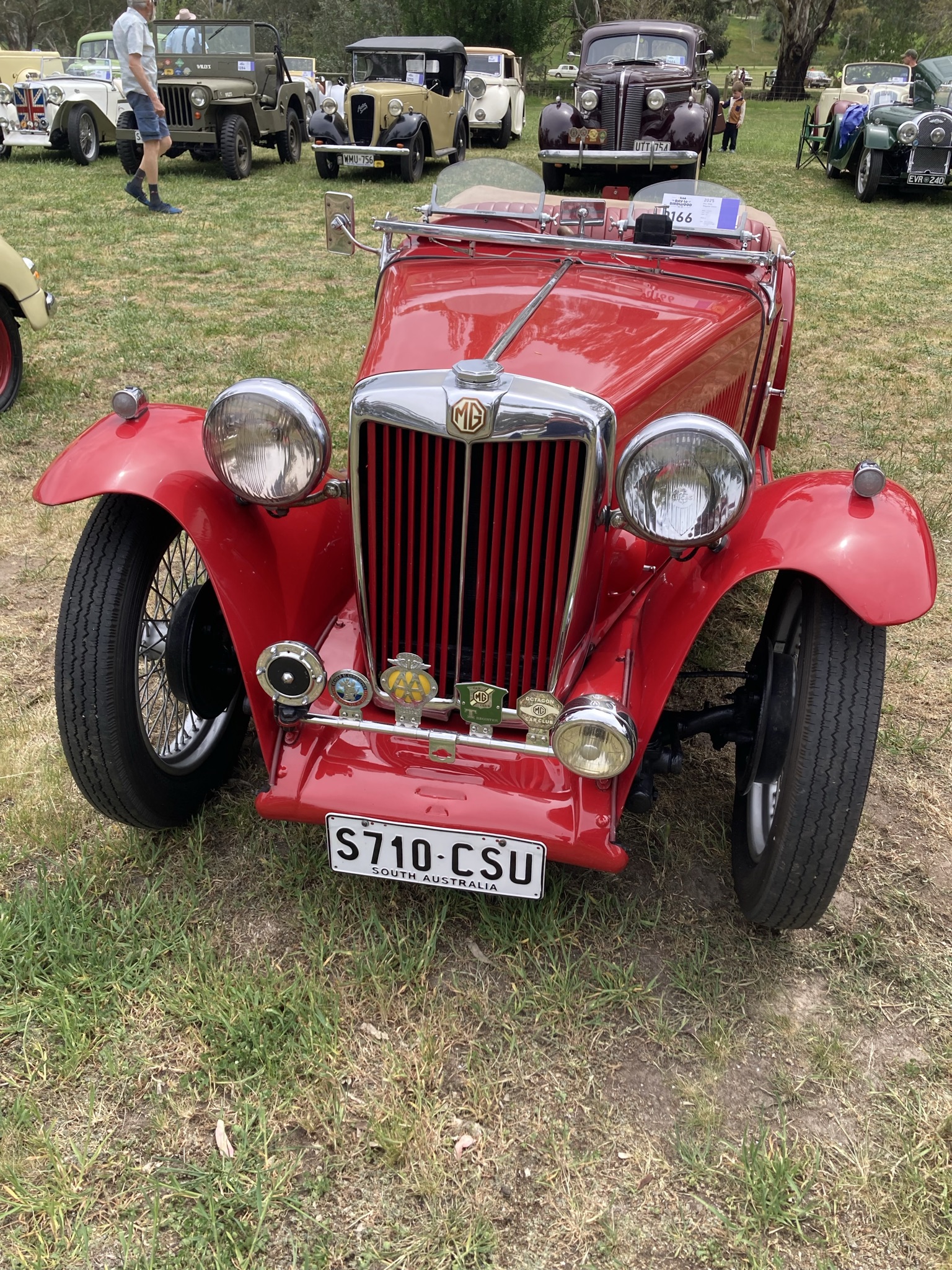 MG TC Midget