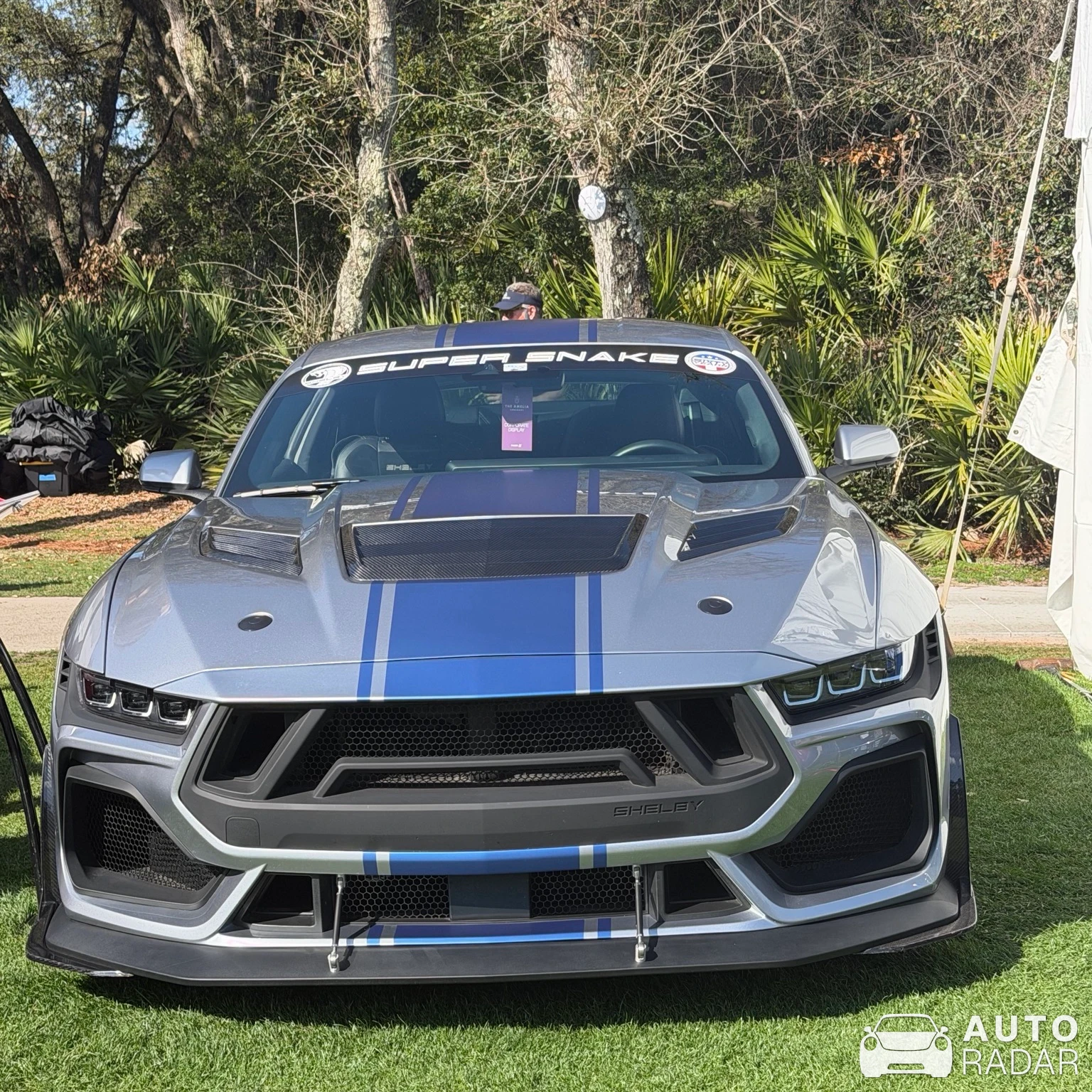Ford Mustang Shelby Super Snake 2024 spotted in Fernandina Beach
