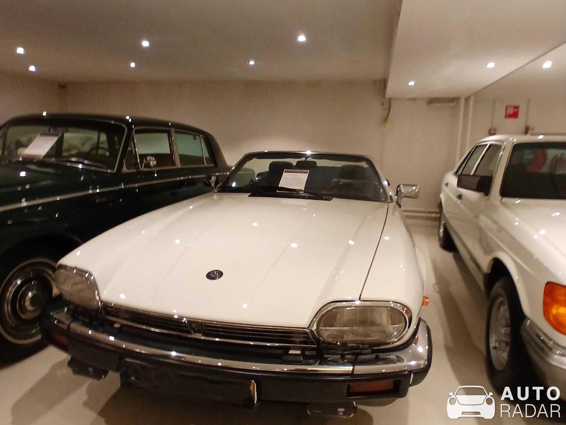 Jaguar XJS V12 TWR Sport spotted in Brummen