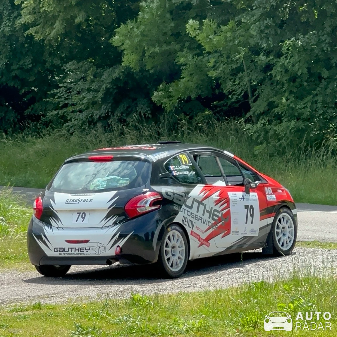 Peugeot 208 R2 spotted in Martailly-lès-Brancion