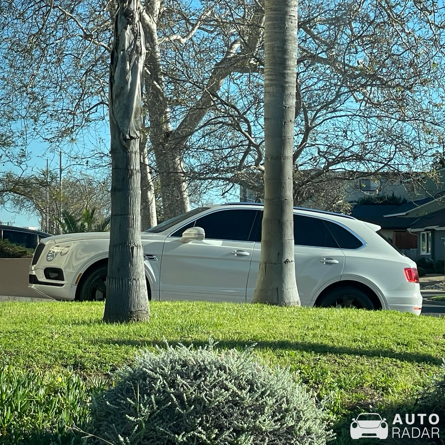 Bentley Bentayga W12 spotted in Torrance