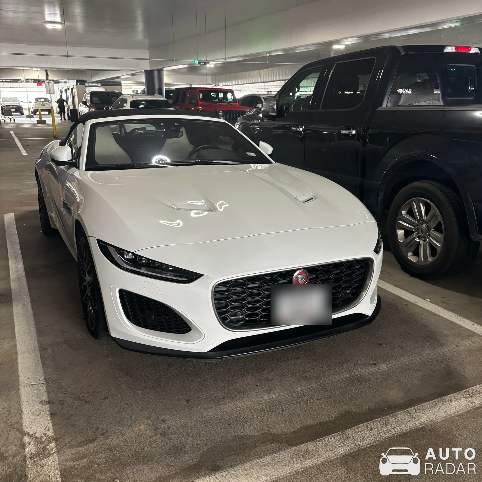 Jaguar F-Type P450 Convertible 2020 spotted in Houston