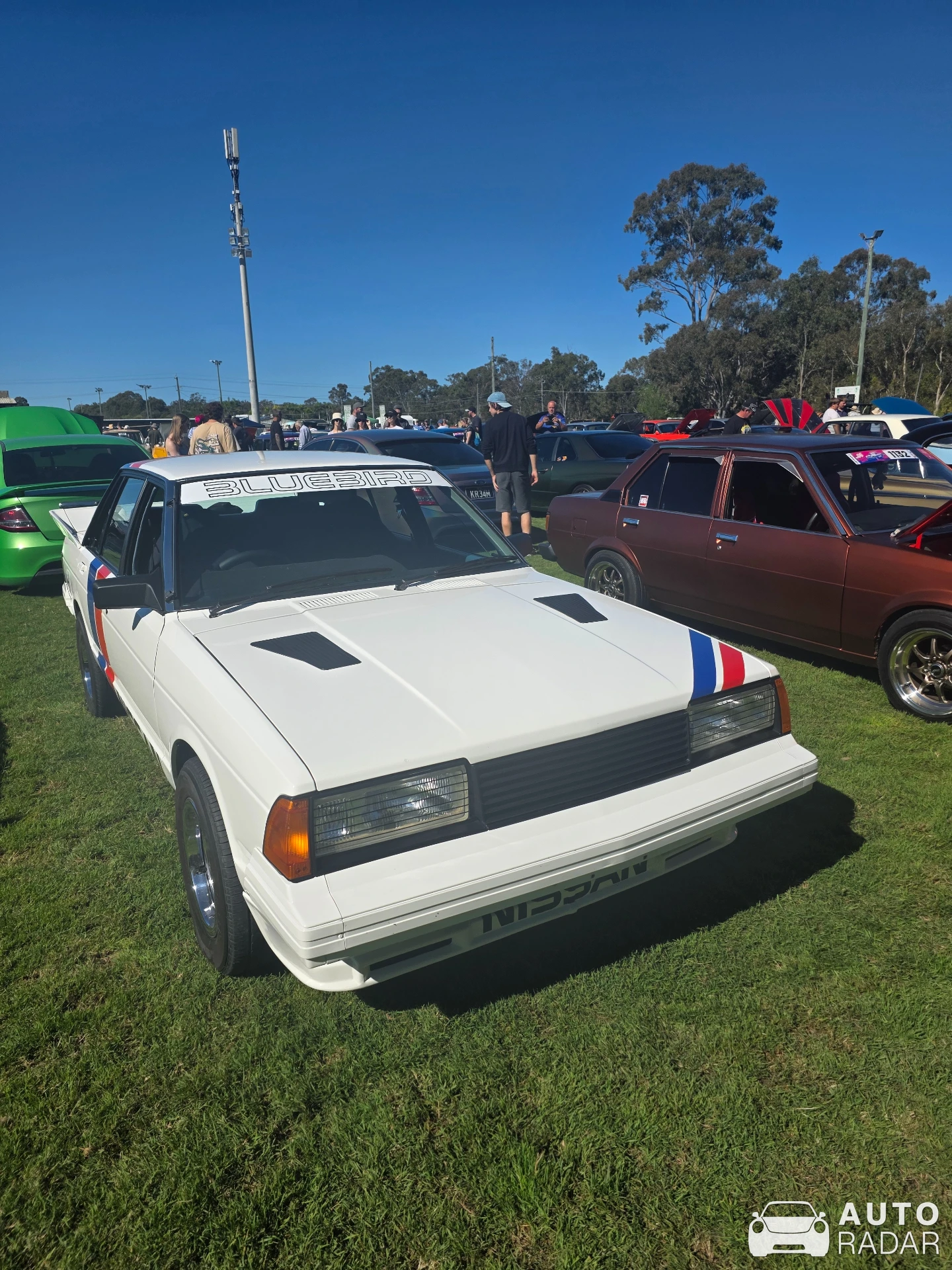 Nissan Bluebird spotted in Hervey Bay, Australia