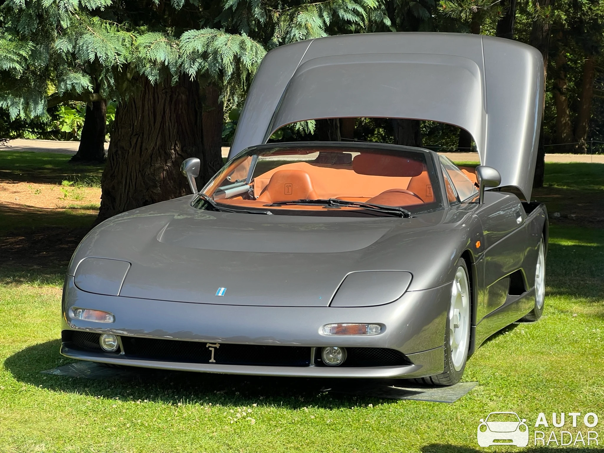 De Tomaso Guara Coupe spotted