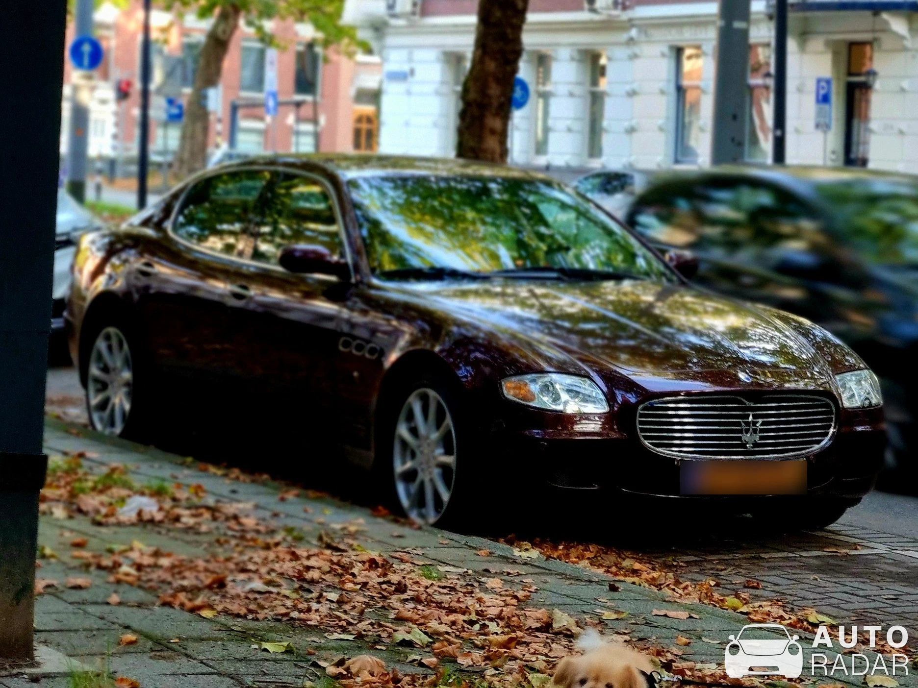 Maserati Quattroporte Sport GT S spotted in Rotterdam