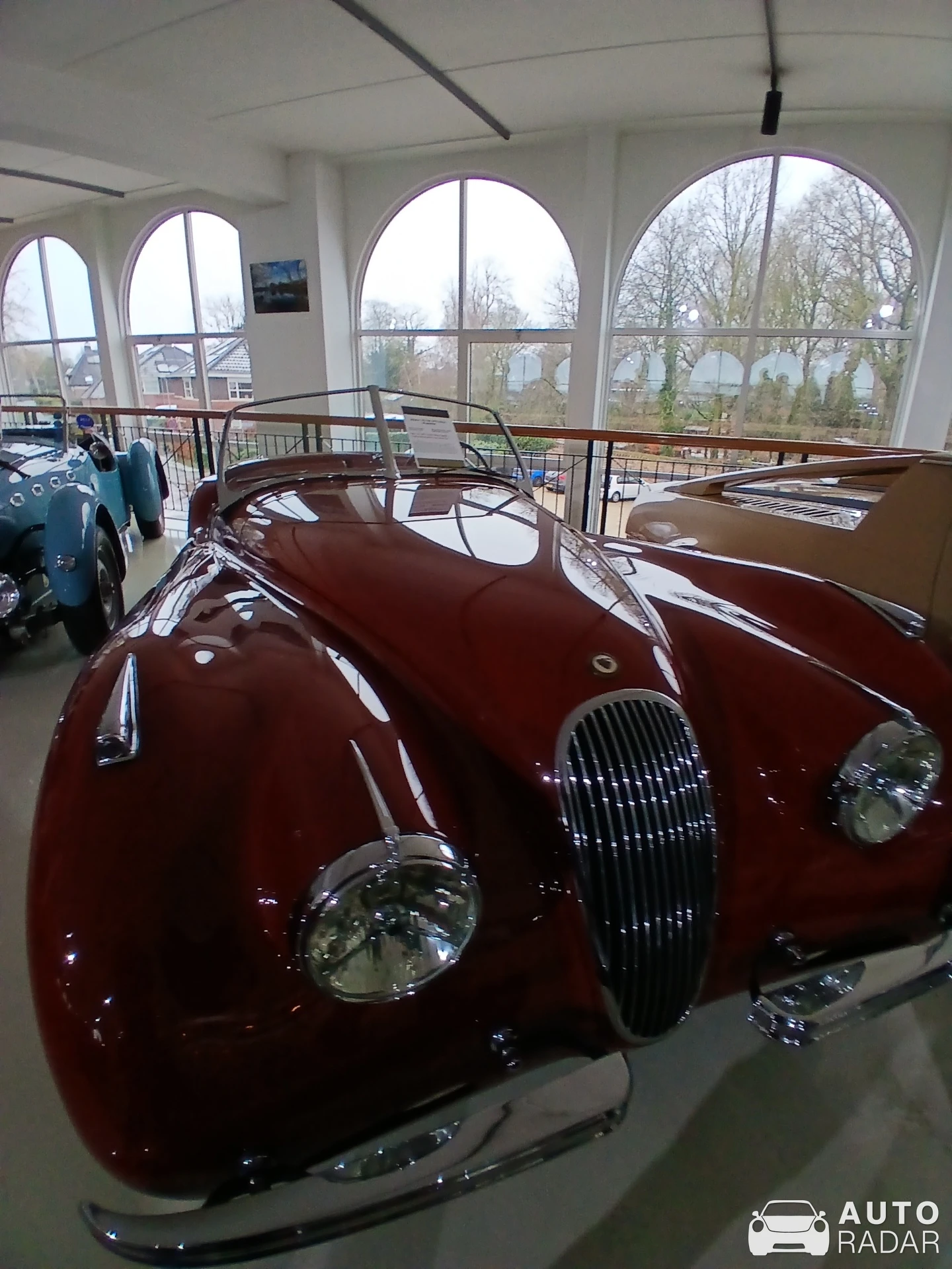 Jaguar XK120 spotted in Brummen