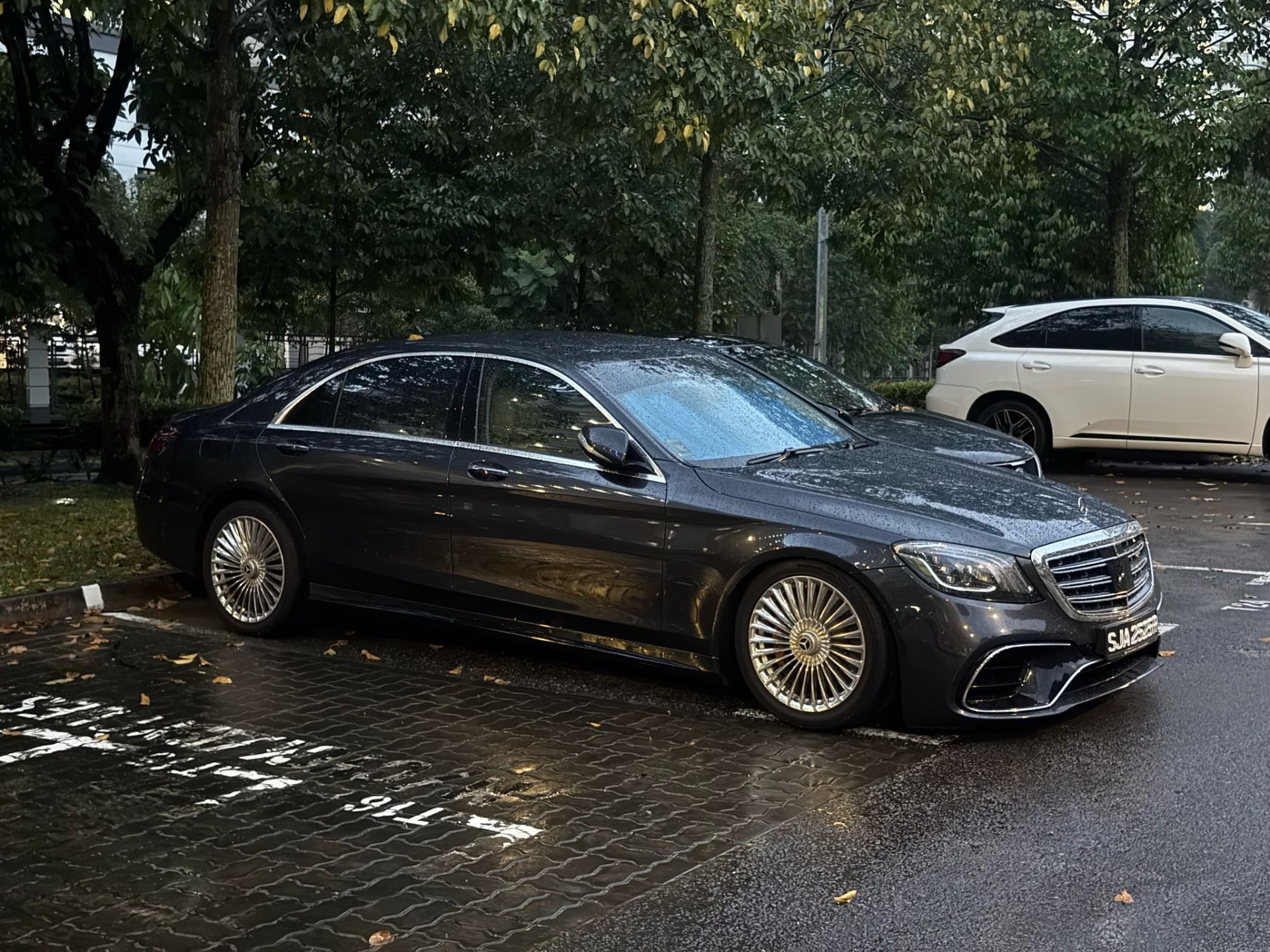 Mercedes-AMG S 65 V222 Final Edition