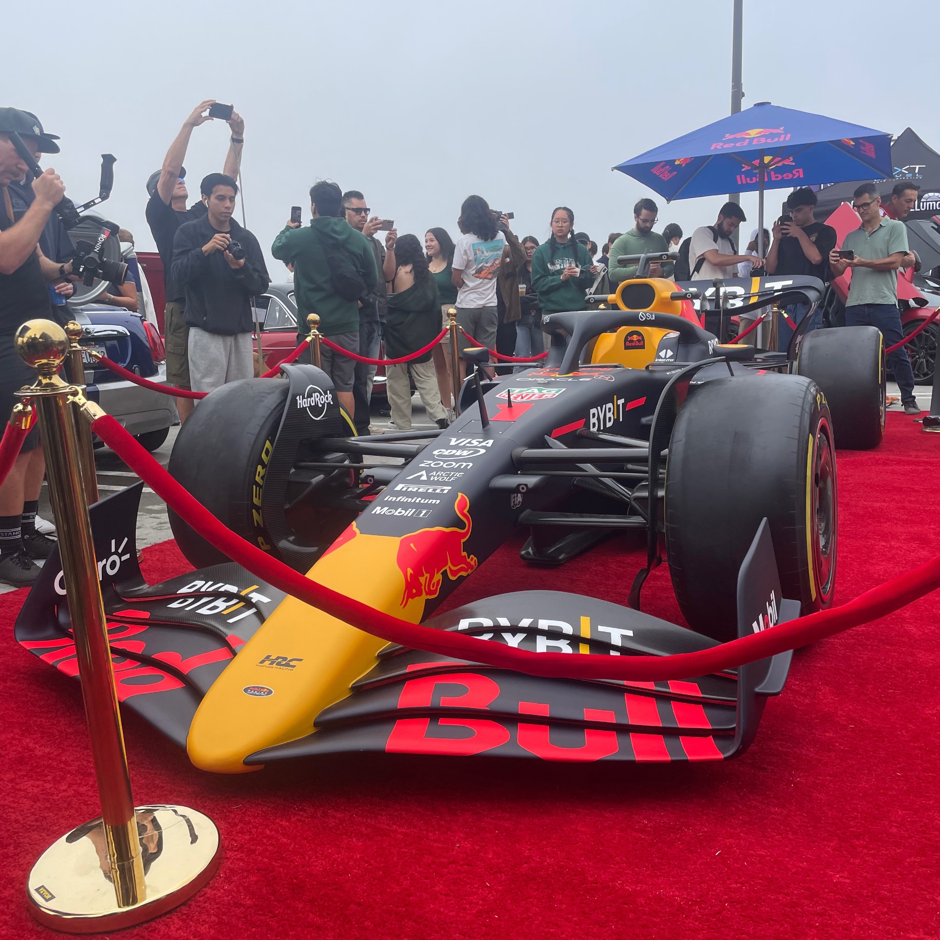 Red Bull Racing RB19