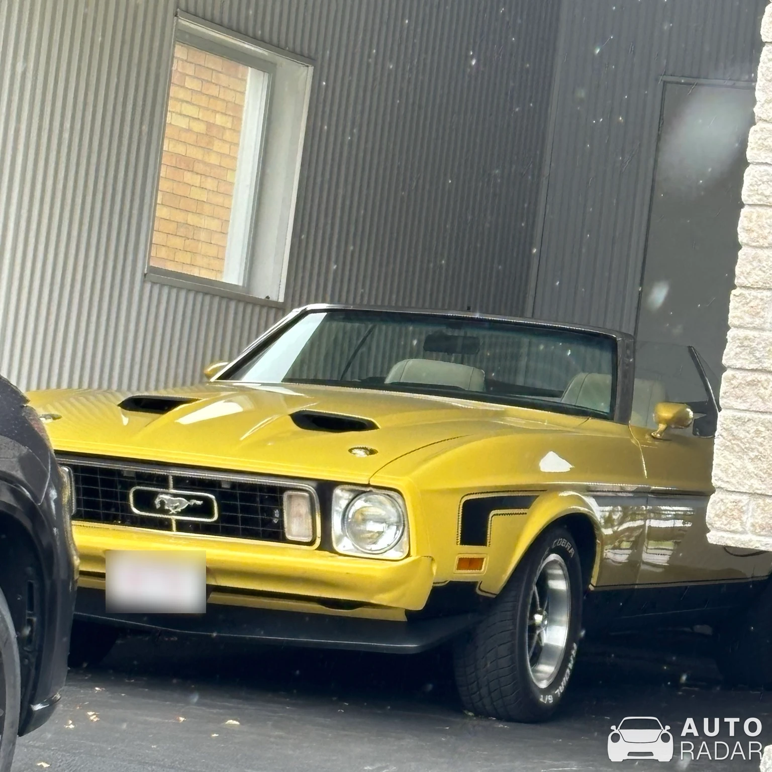 Ford Mustang Mach 1 1969 spotted in Alma