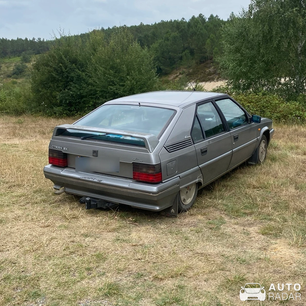 Citroën BX spotted in Saint-Pierre-du-Palais