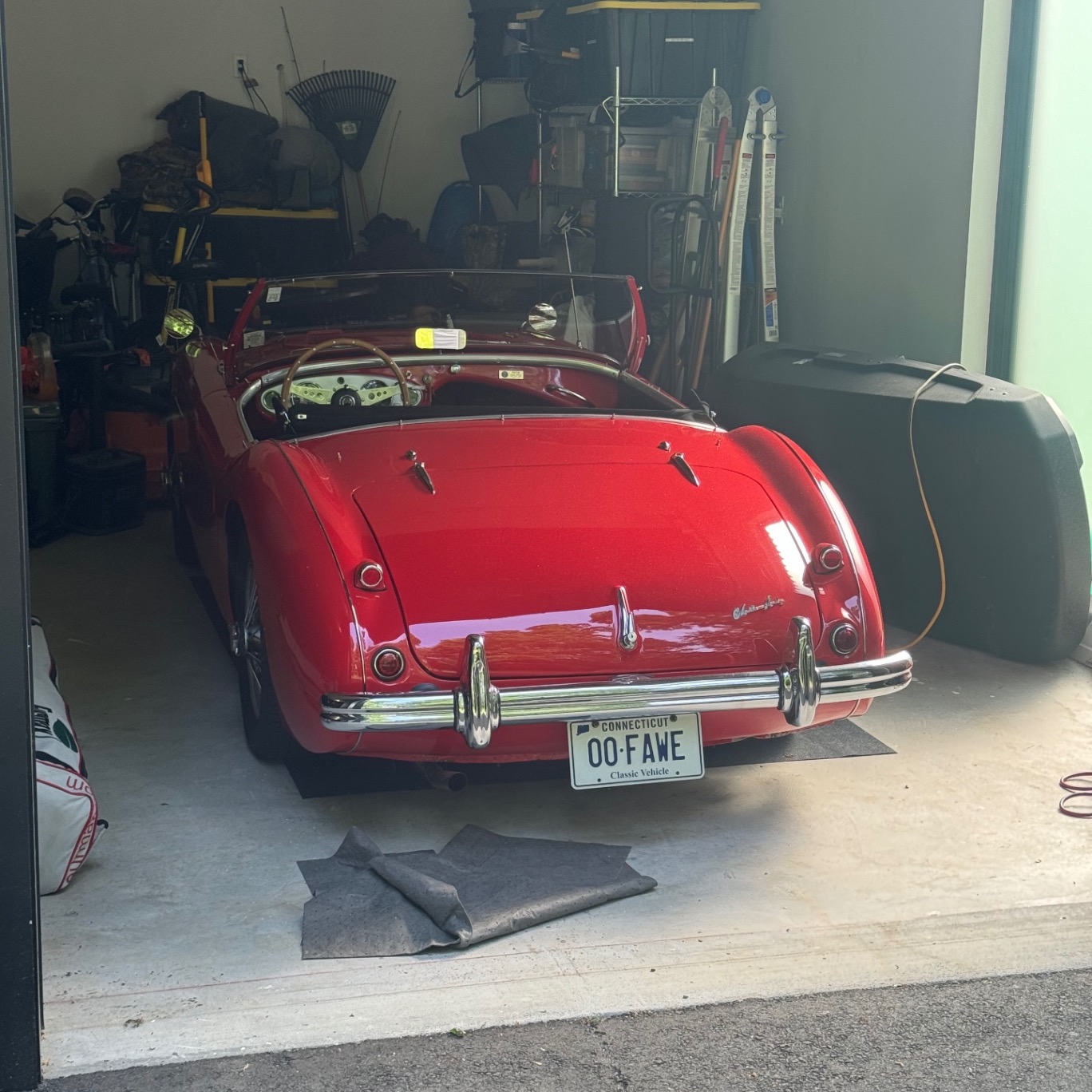 Austin-Healey 1956 M 100