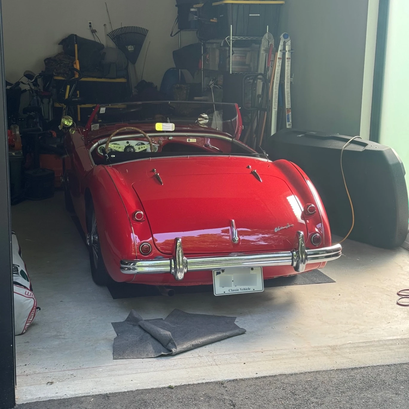 Austin-Healey 1956 M 100 spotted in Westport