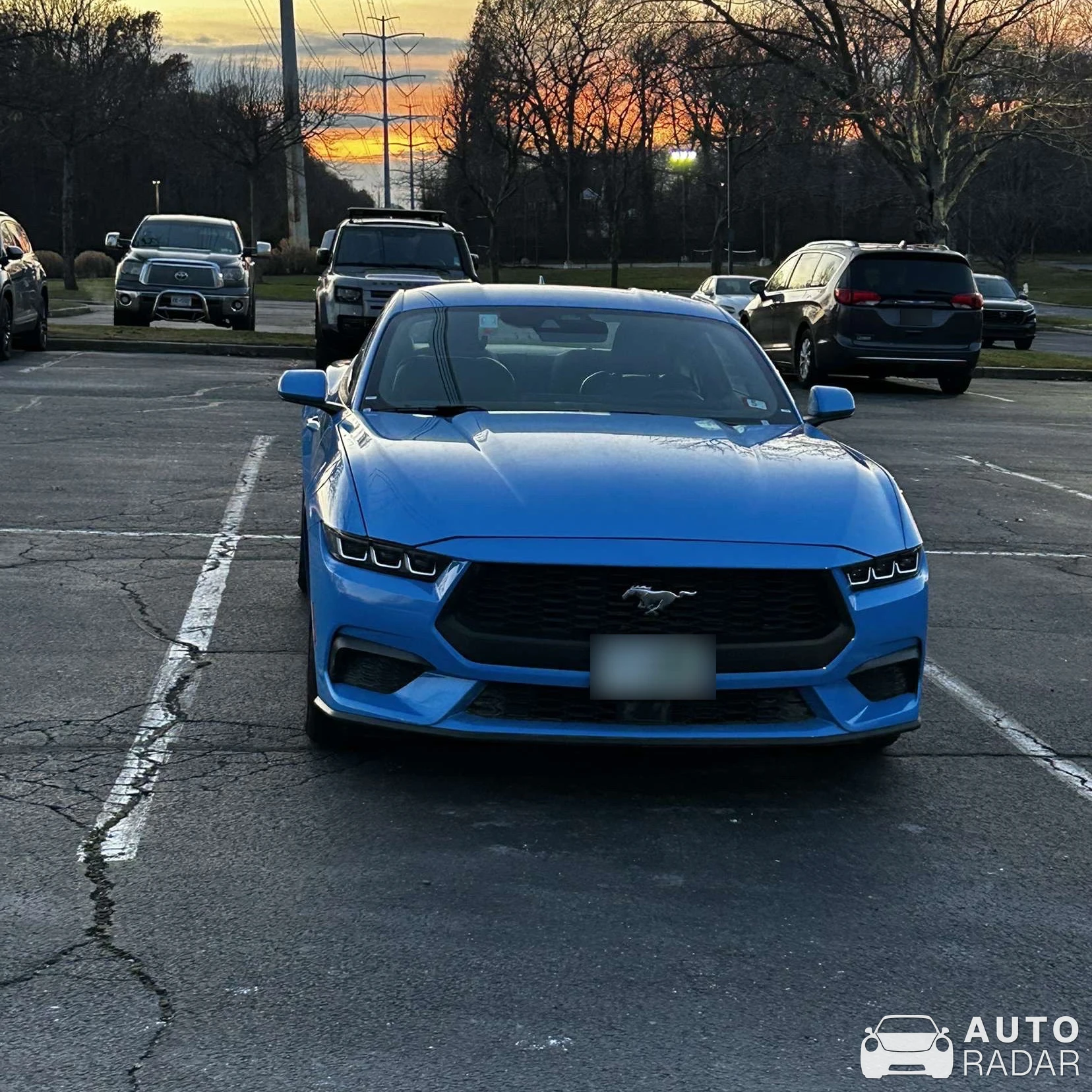 Ford Mustang GT spotted in Queens, United States