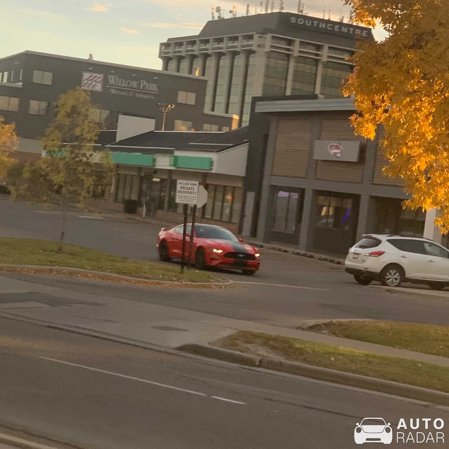 Ford Mustang 2.3 Ecoboost spotted in Calgary, Canada
