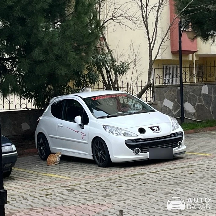 Peugeot 207 LW spotted