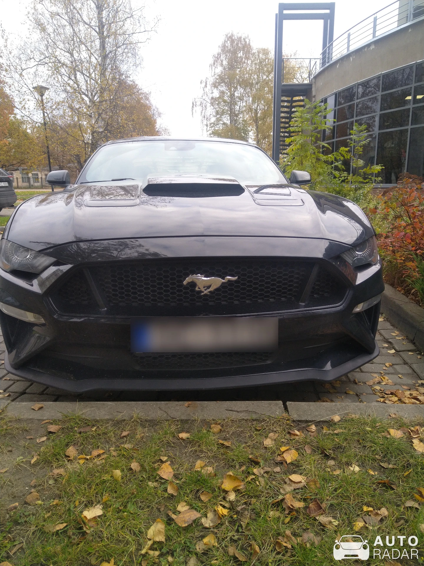 Ford Mustang GT S650 spotted in Jelgava