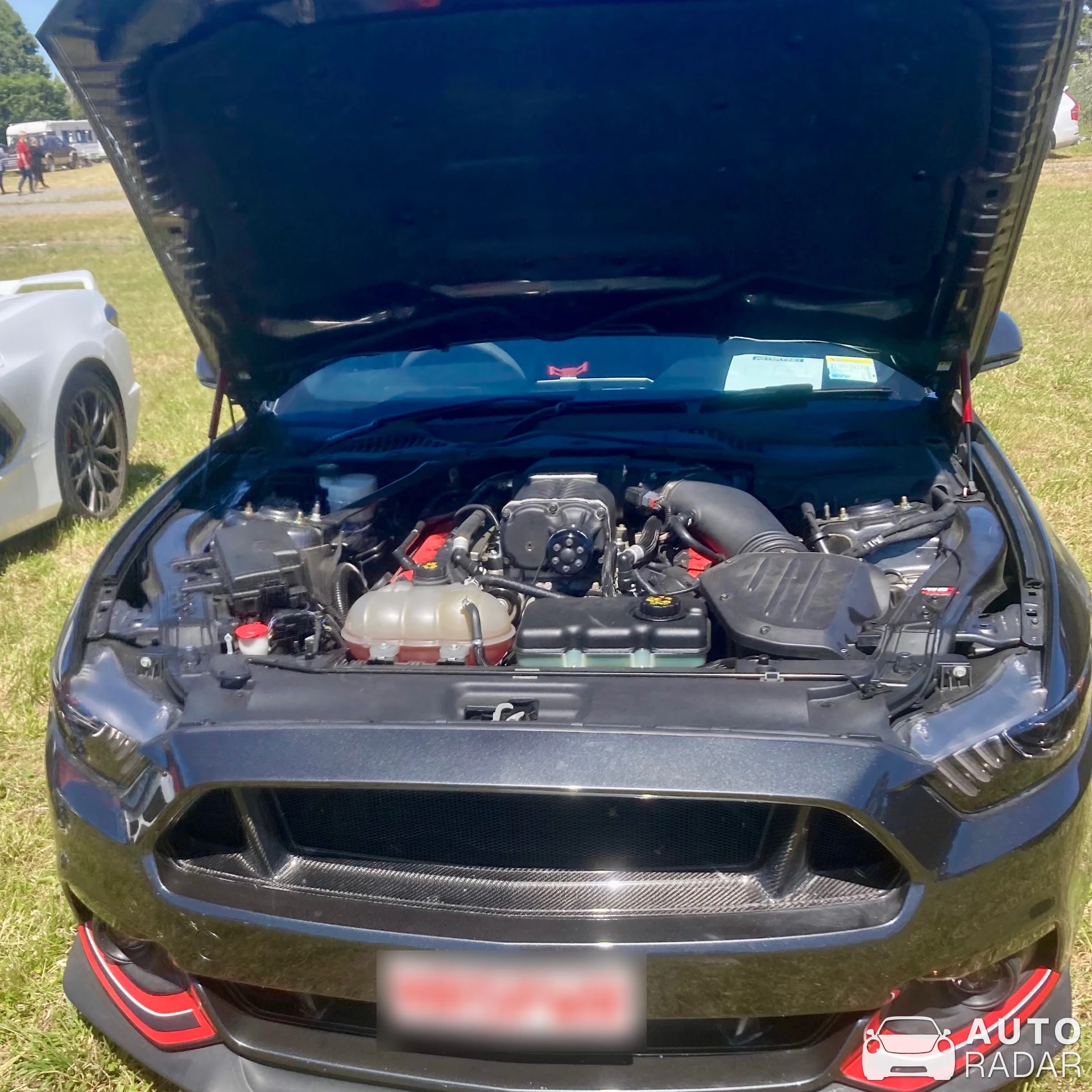 Ford Mustang GT spotted in Rolleston, New Zealand