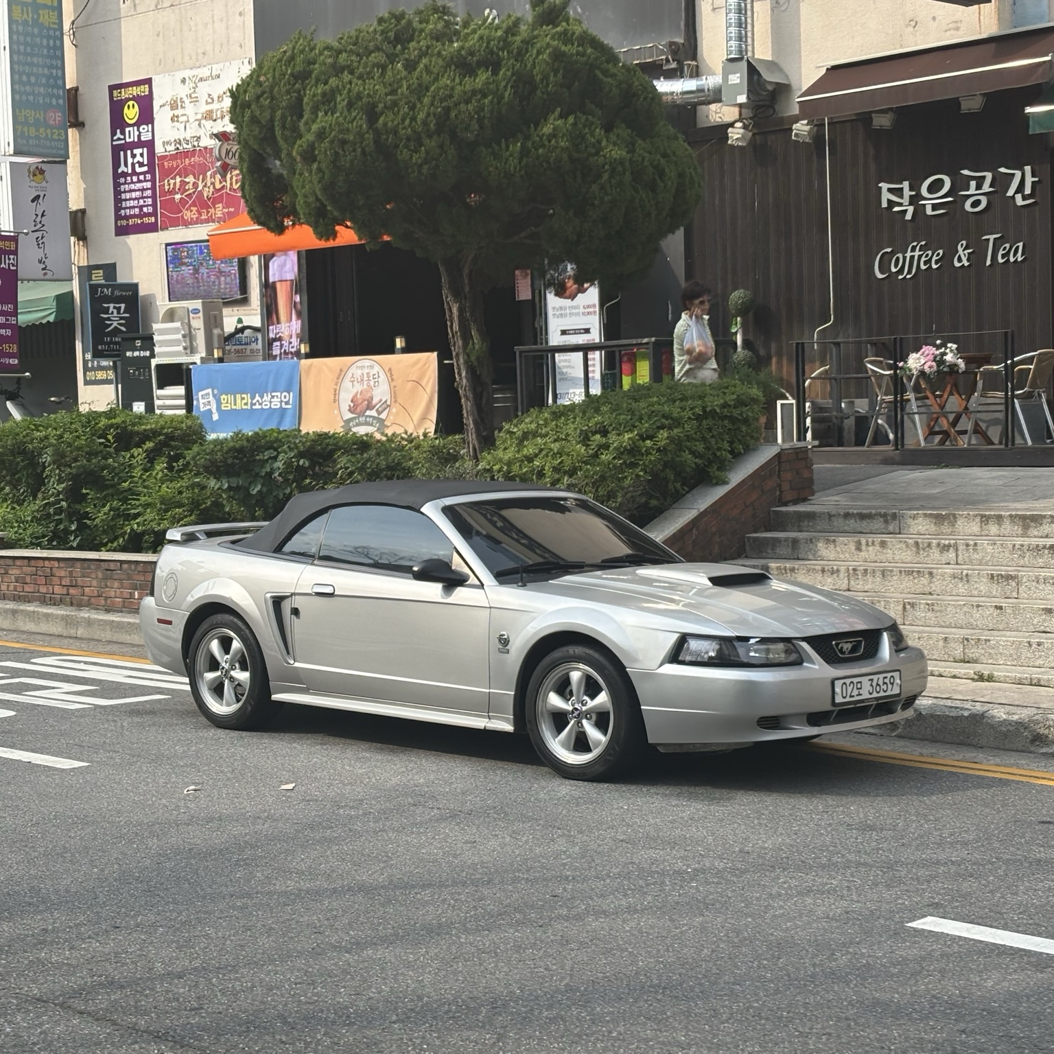 Ford Mustang GT Convertible SN95