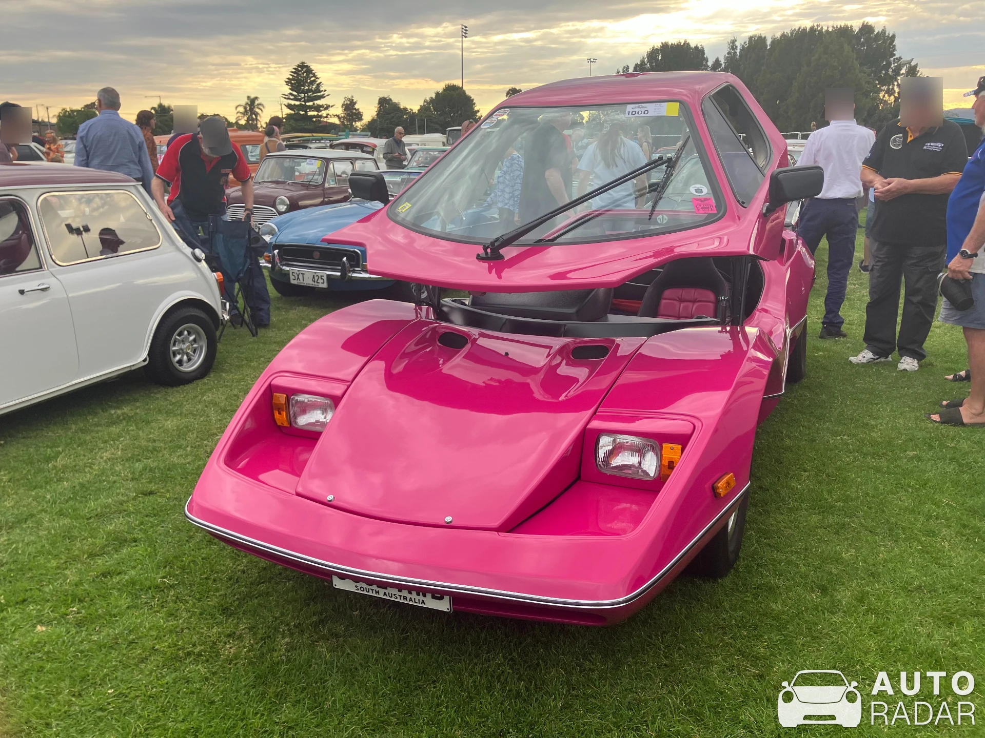 Purvis Eureka spotted in Adelaide