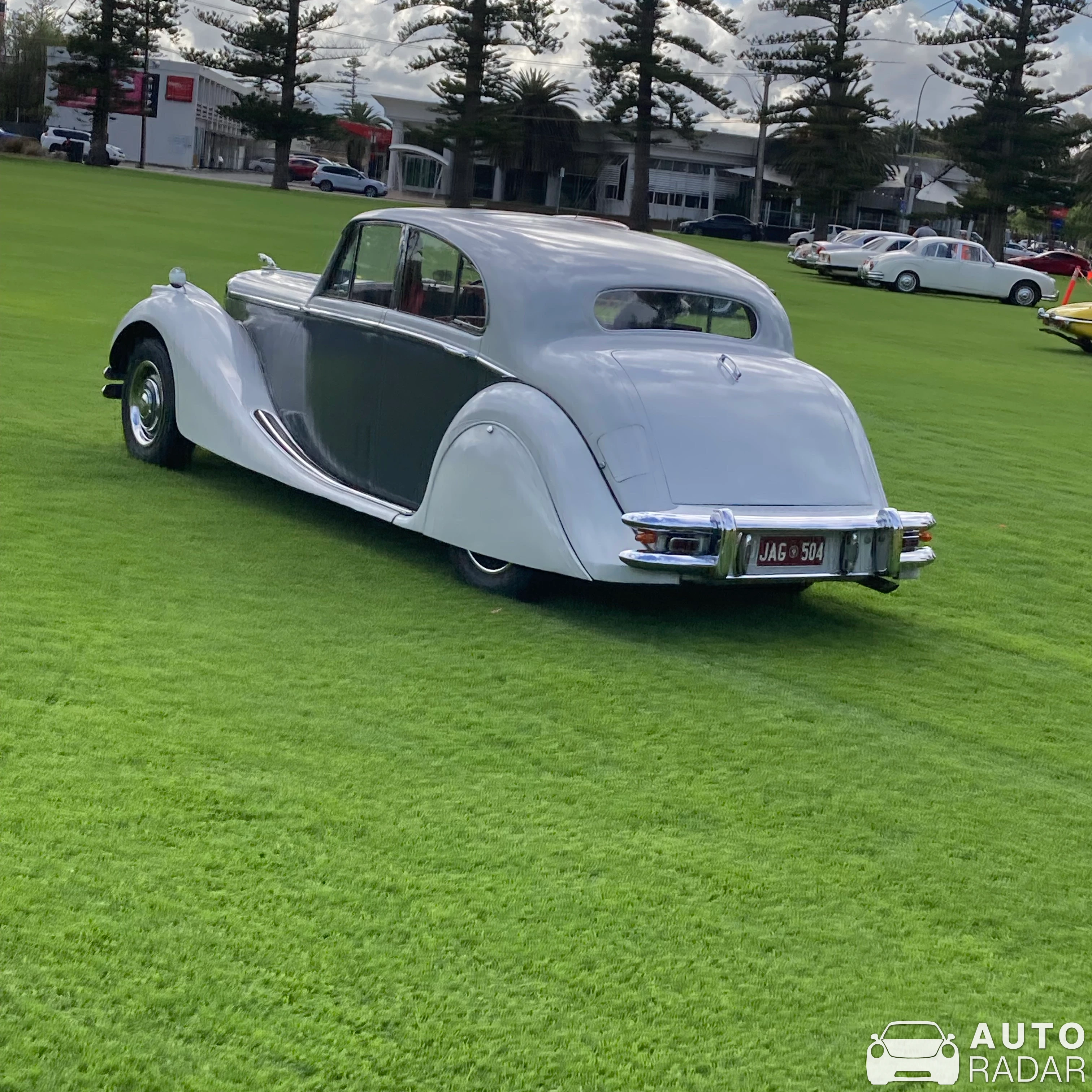 Jaguar Mark IV spotted in Urrbrae