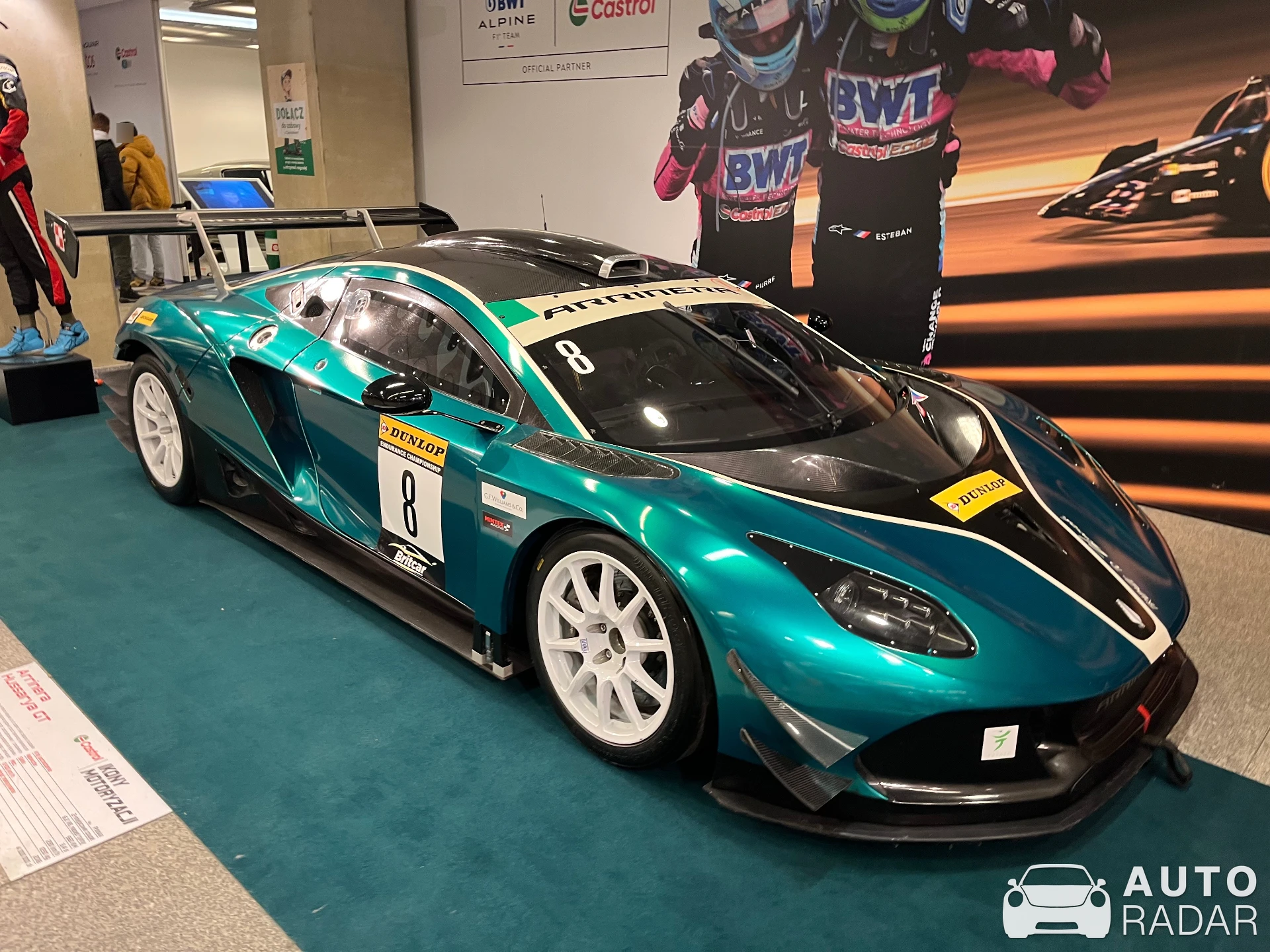 Arrinera Hussarya spotted in Warszawa