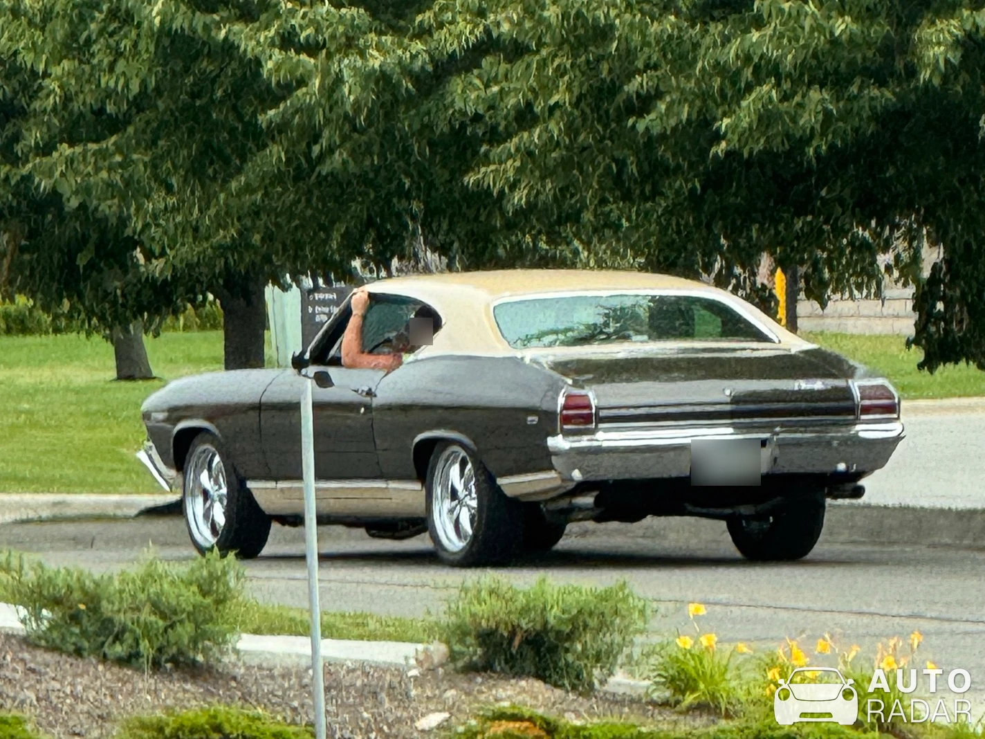 Chevrolet Chevelle Malibu Sport Coupe spotted in Sunbury