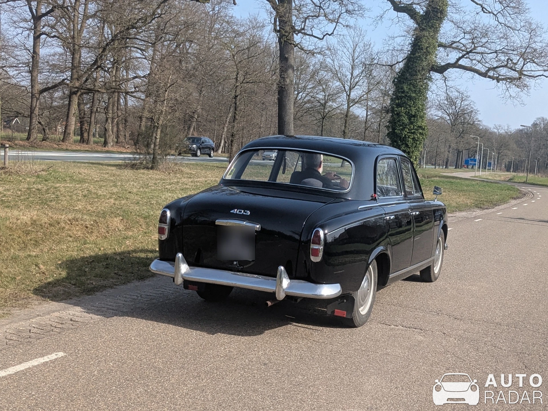 Peugeot 403 spotted in Delden
