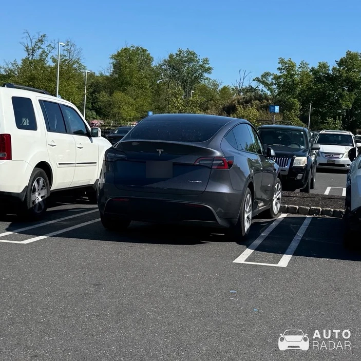 Tesla Model Y spotted in Flemington