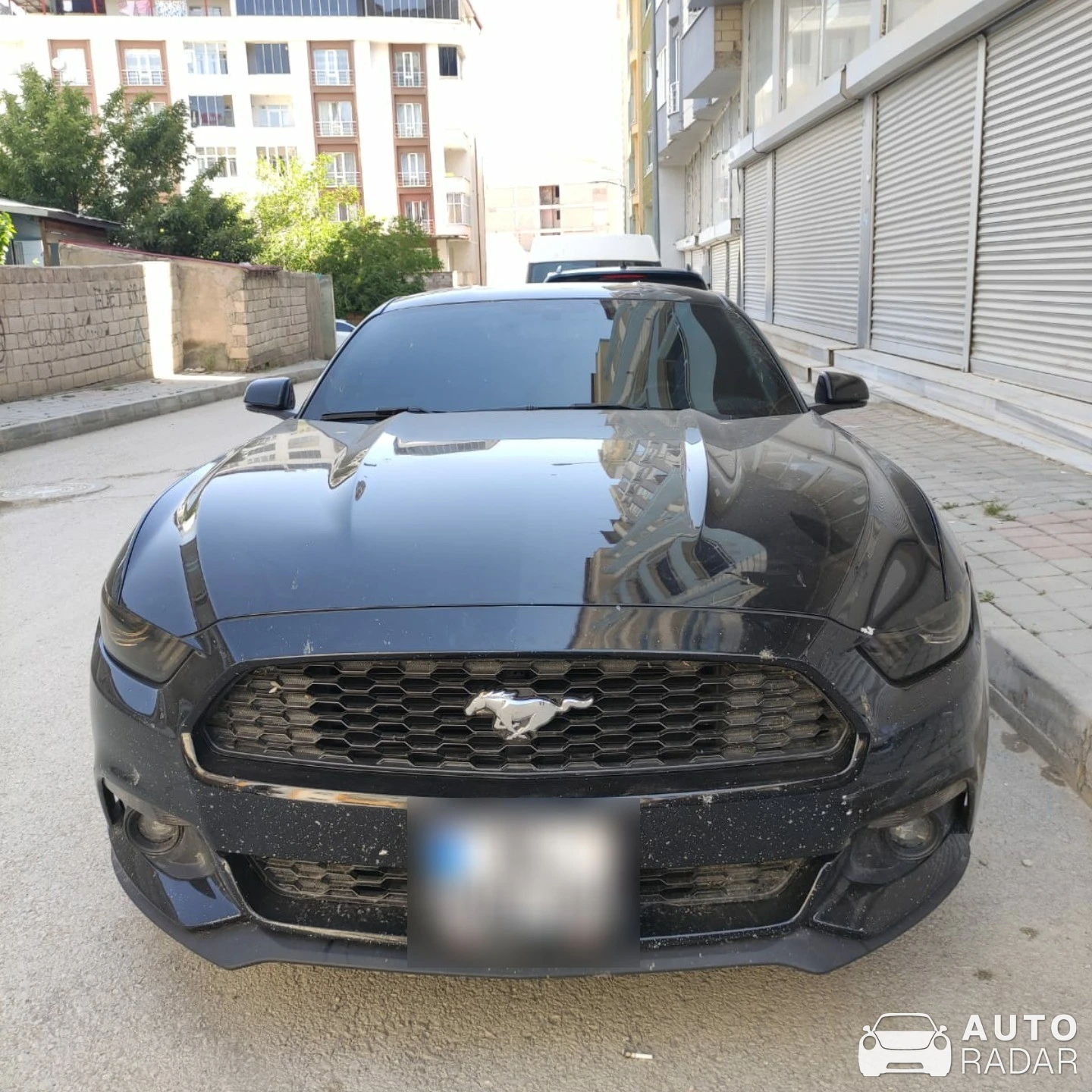 Ford Mustang GT spotted in Doğubayazıt, Türkiye