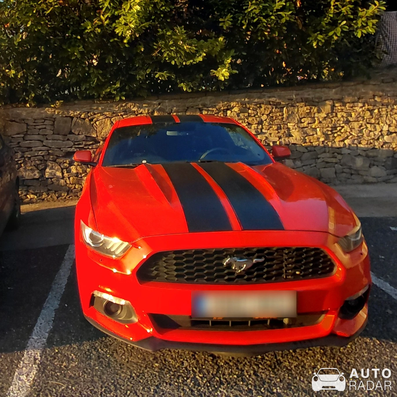Ford Mustang GT 50th Anniversary Edition spotted in Tihany