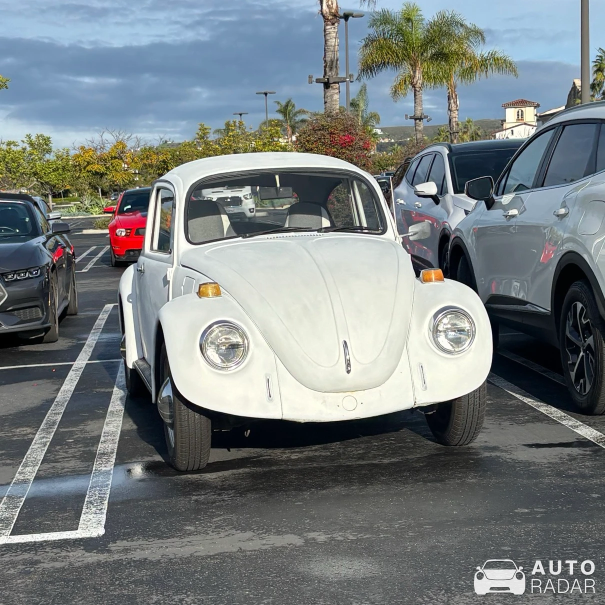 Volkswagen Beetle spotted in San Clemente, United States