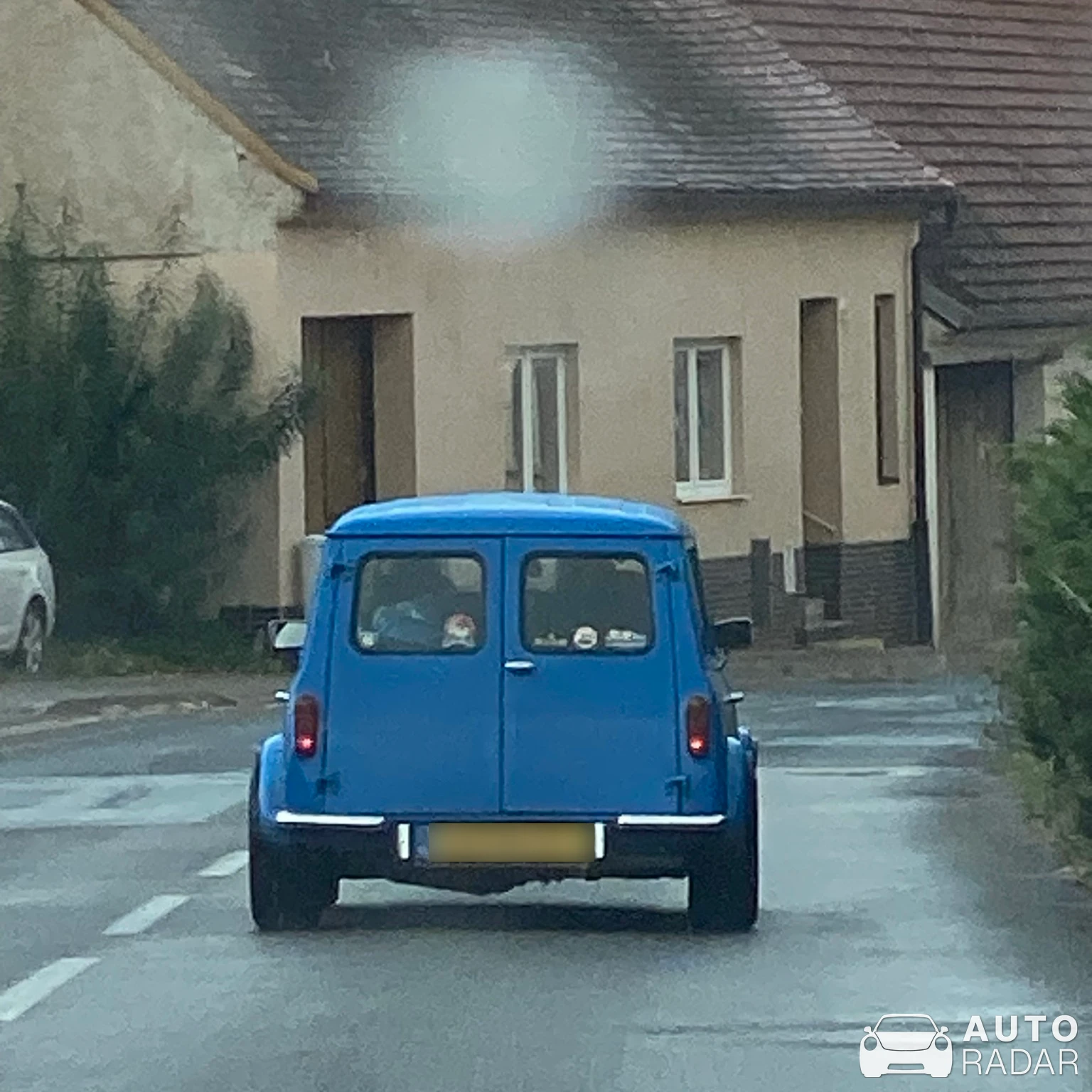Mini 1000 spotted