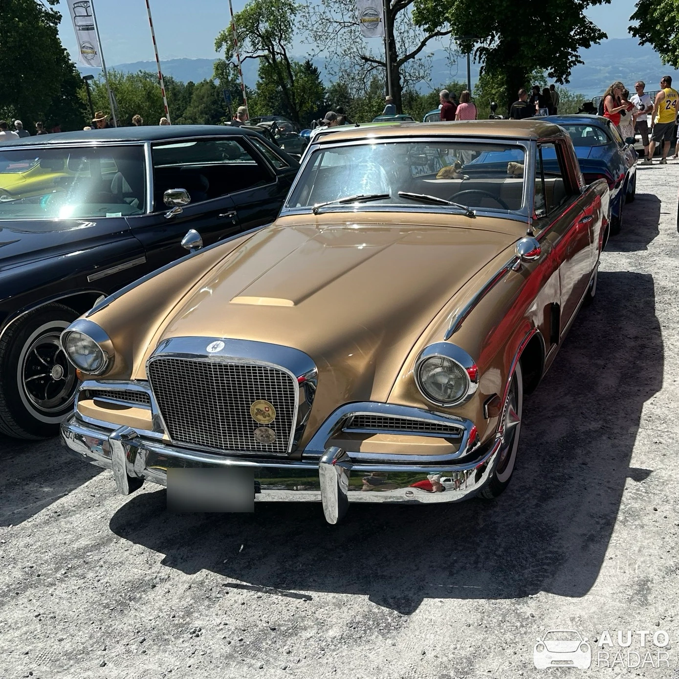 Studebaker Golden Hawk spotted in Dürnten