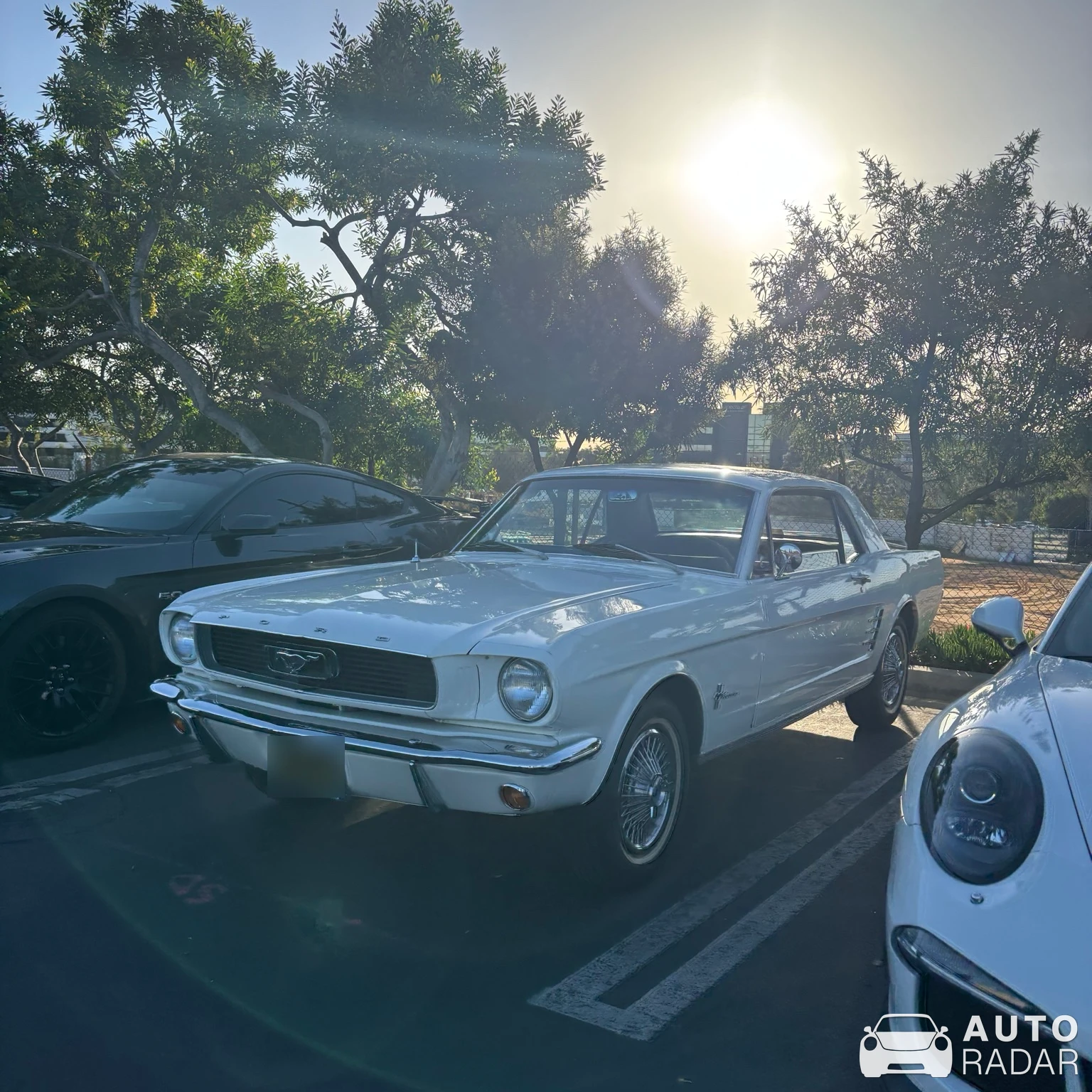 Ford Mustang Coupé 1966 spotted in El Segundo, United States