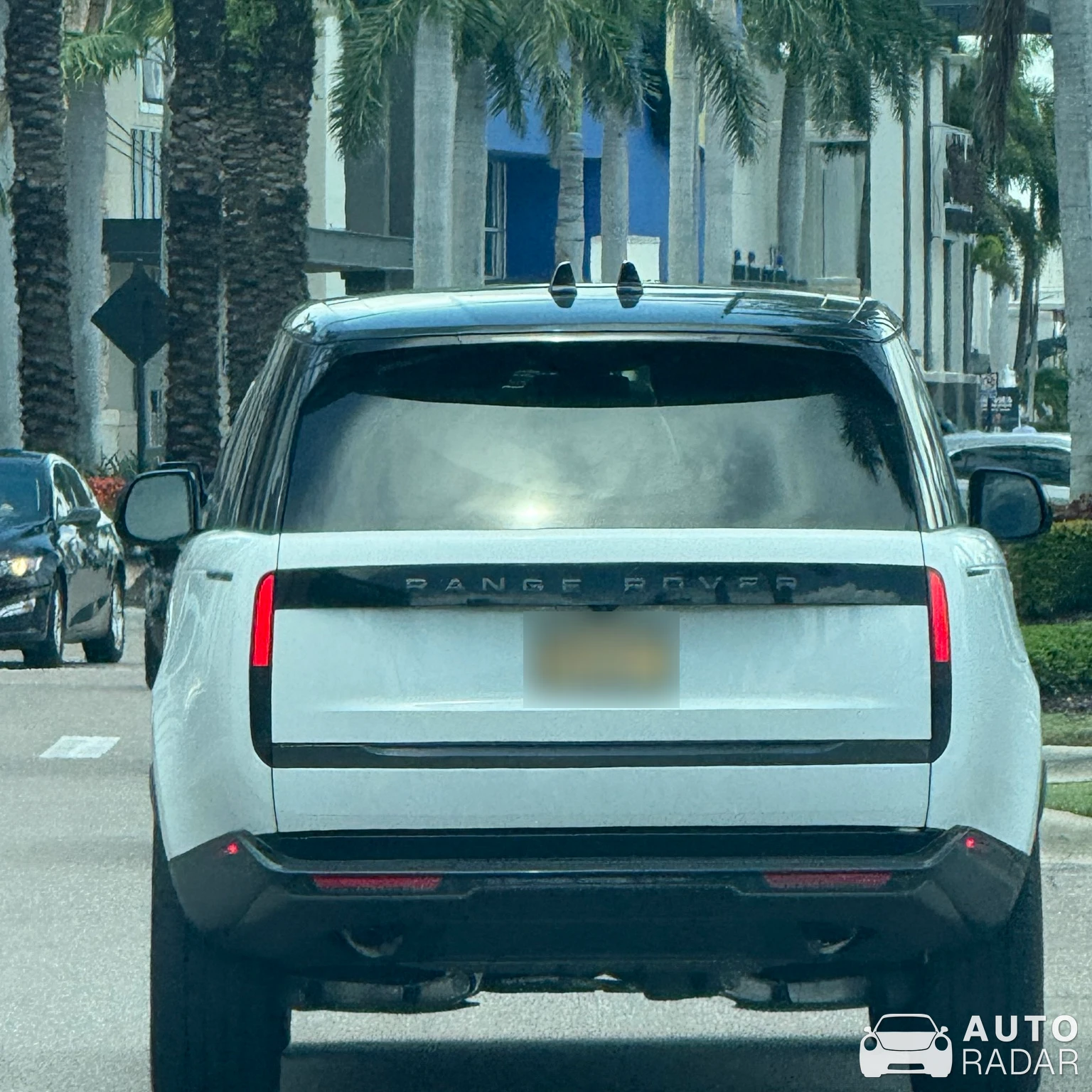 Land Rover Range Rover Sport HSE Luxury spotted in Sarasota