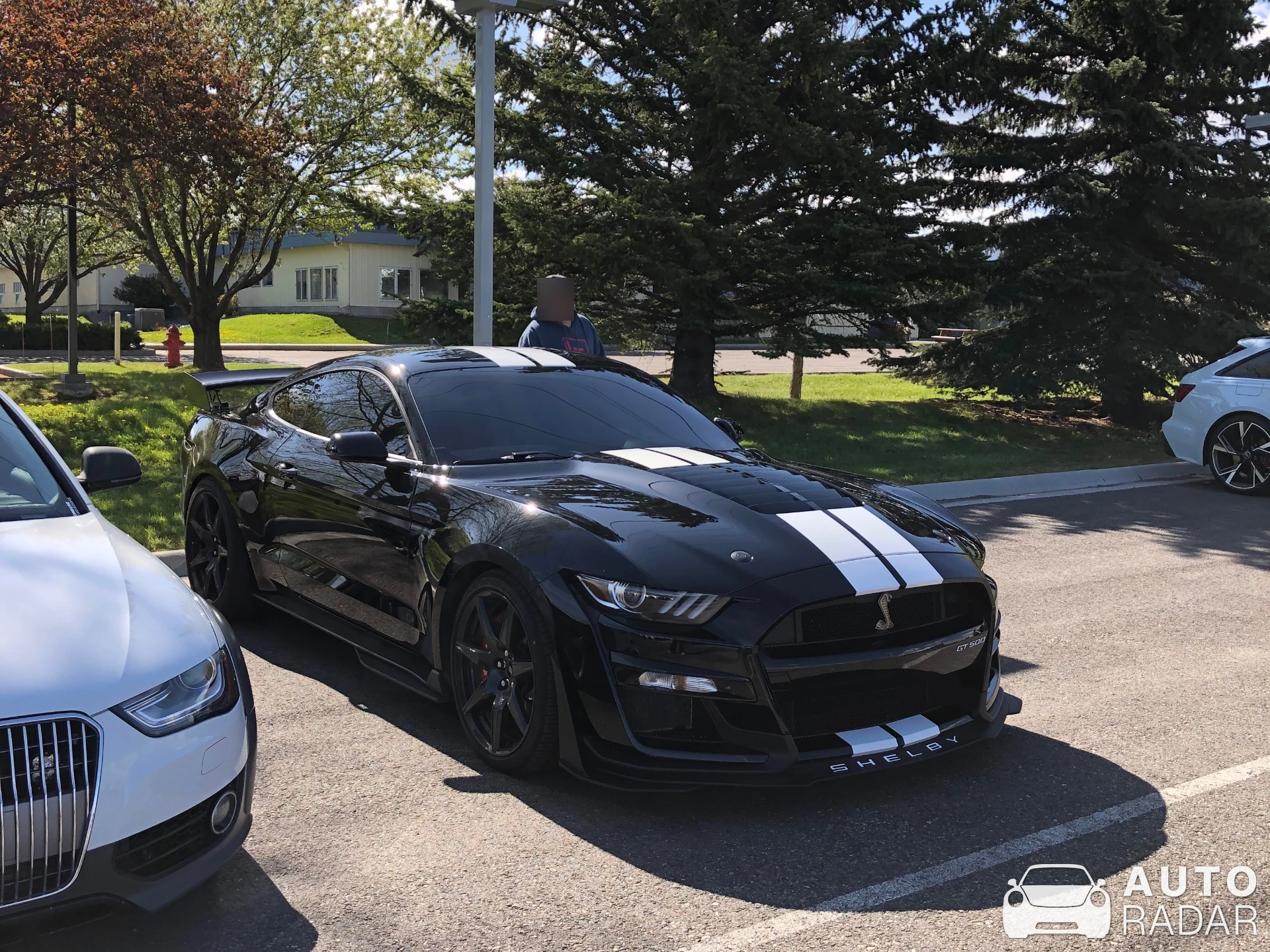Ford Mustang Shelby GT500 spotted in Bozeman