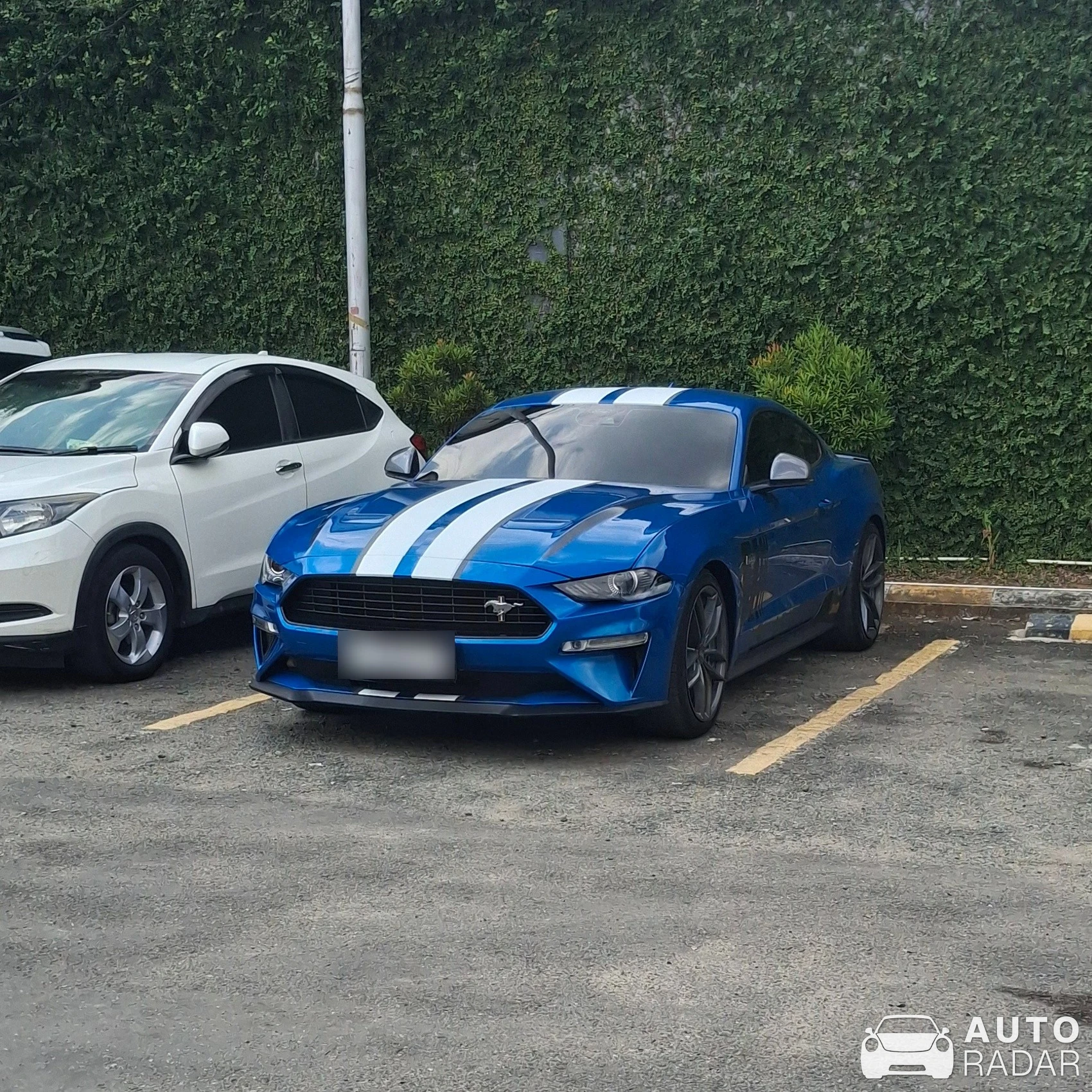 Ford Mustang S550 spotted in Samarinda