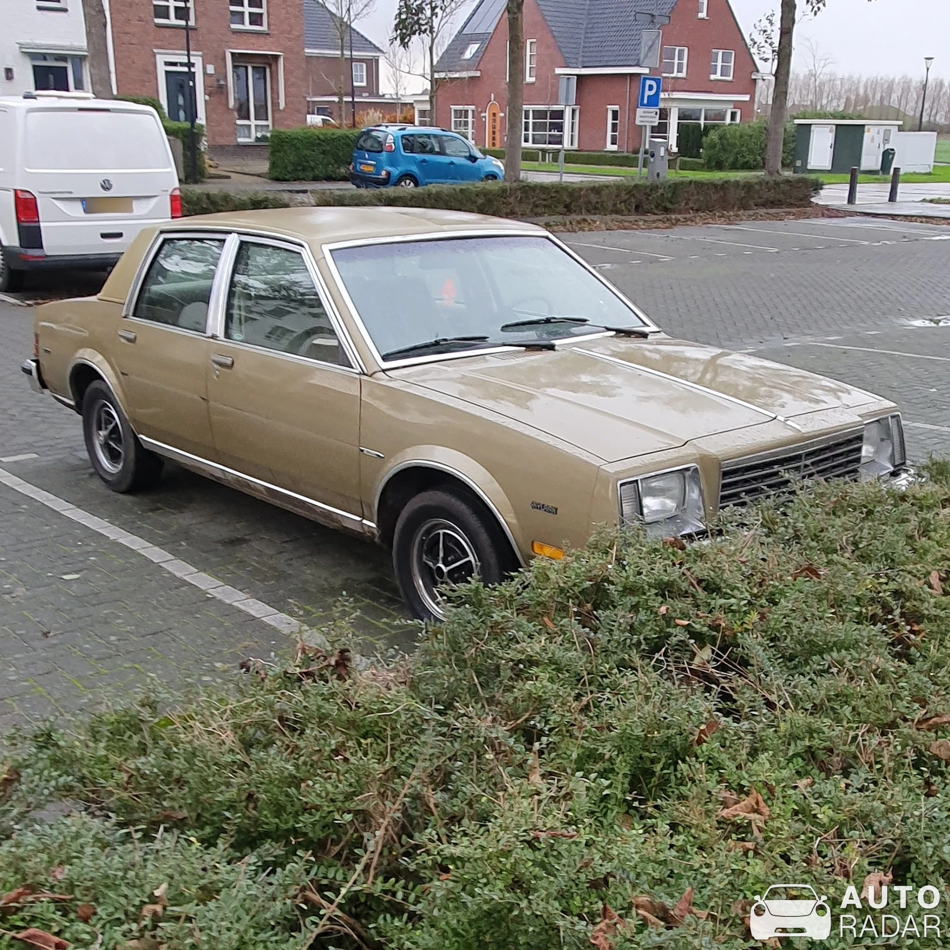Buick Skylark spotted in Sommelsdijk, Nederland