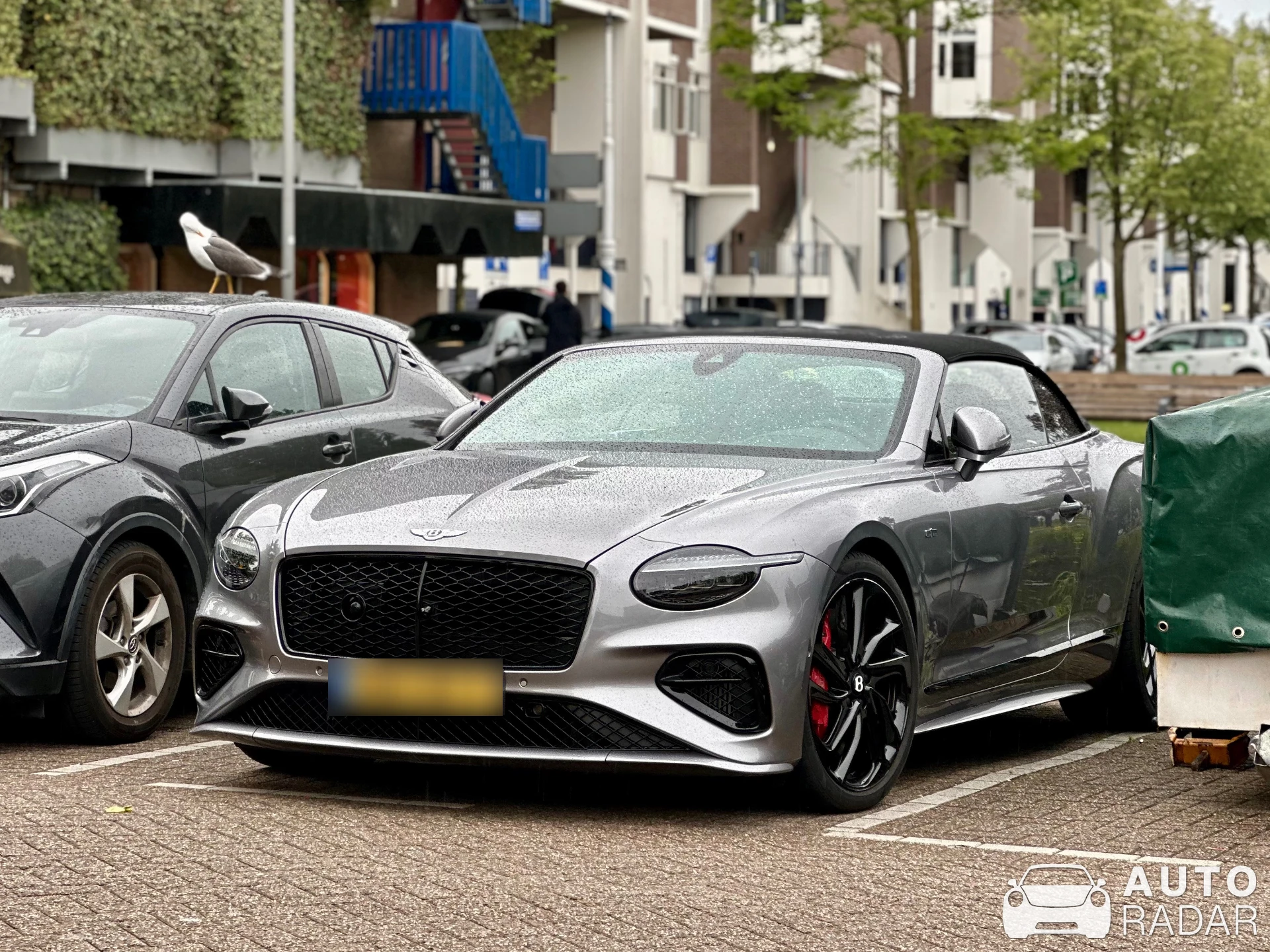 Bentley Continental GTC Speed 2025 First Edition spotted in Rotterdam