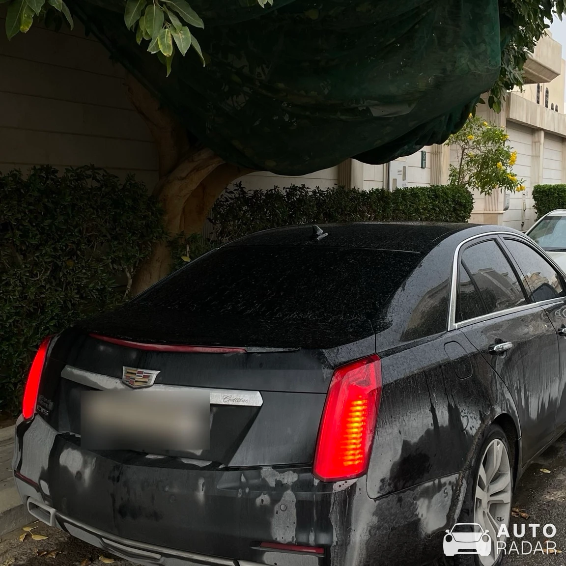 Cadillac CTS 2014 spotted in Riyadh