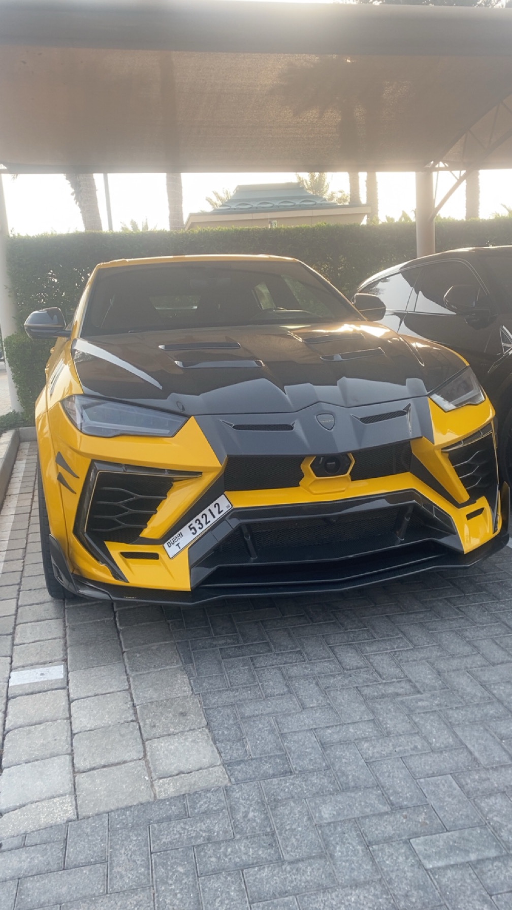 Lamborghini Urus Mansory Venatus