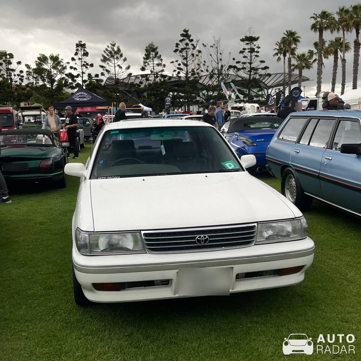 Toyota Cressida spotted in Geelong