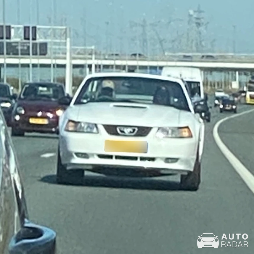 Ford Mustang GT 4.6 High Performance spotted in Muiden