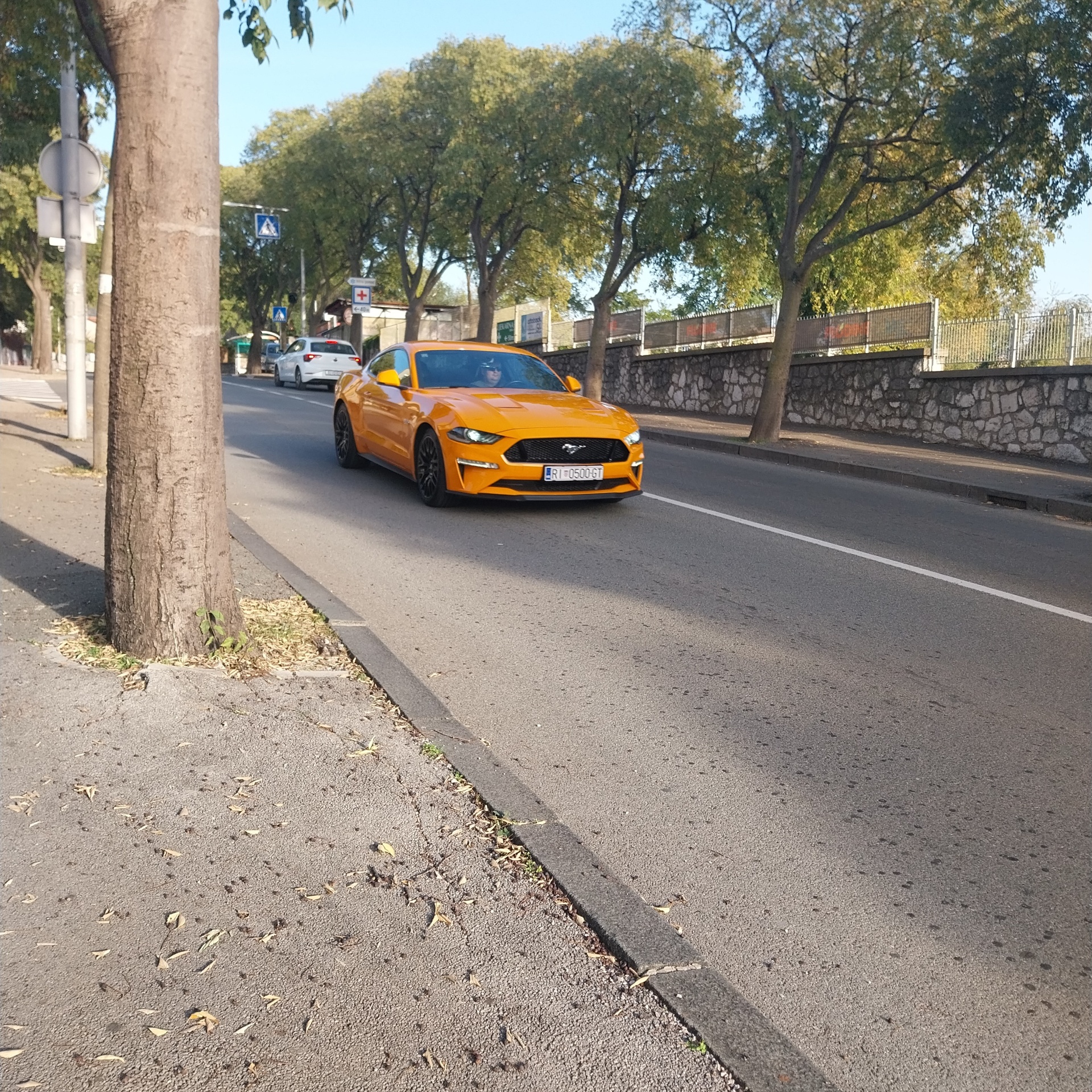 Ford Mustang GT 2018