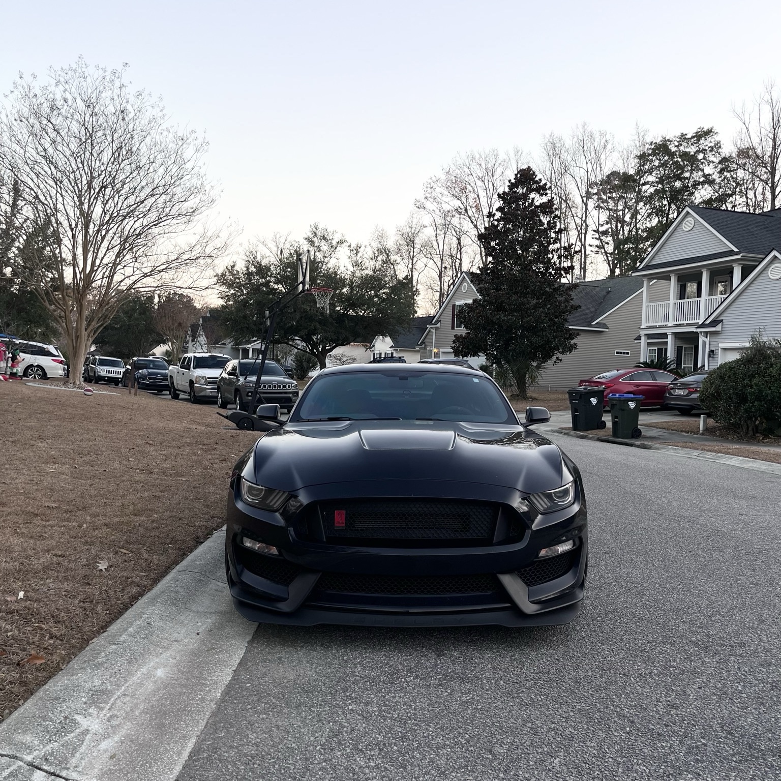 Ford Mustang Shelby GT350R 2015